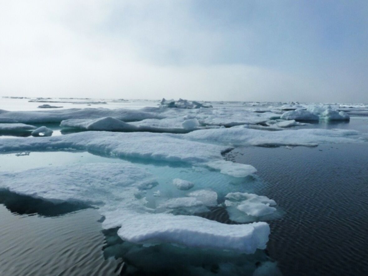 Ice on Chesapeake Bay